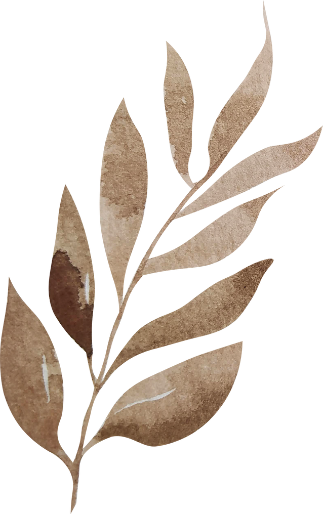 Watercolor brown boho leaves